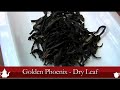Click here to watch this video Golden Phoenix - Oolong Tea