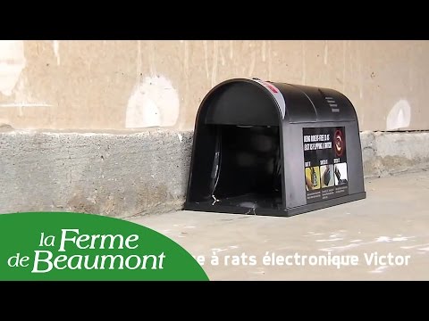Piège à rat électronique Victor