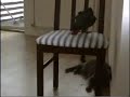 Pepperoni - �ckel-p�ckel