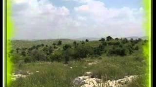 قرية جمزو - فلسطين الجزء الثاني - jimzo - YouTube.flv