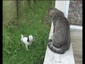 How to learn a lesson