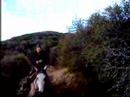 Amuleto and Tango on the Pacific Crest Trail