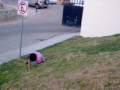videos de Luis callendo
