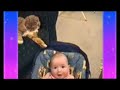 Gatos y perros divertidos!