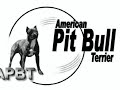 apbt yango