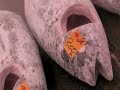 life-in-tokyo-58-fish-are-our-friends.html