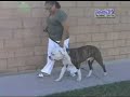 Spratly K9 Transfer of Command