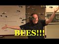 Beejumbled: A Word Puzzle Game that Looks Amazing