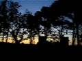 Kvitta at dawn