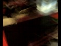 Sabena Halloween Party - Part 5 of 5