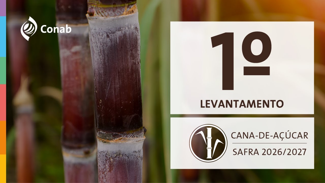 1º Levantamento  da Safra de Cana-de-Açúcar