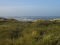 Sylt  -  Fr�hjahr 2008