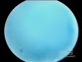 bollicina - Lete -  segreteria telefonica