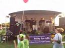audio drive performs at the 2008 grove city relay for life. special thanks to all the band members. we enjoyed having you out to the event.