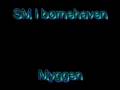 Myggen - SM I Børnehaven