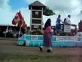 City of New Ulm Float