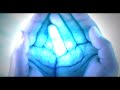 islamic youth awakening nasheed part 4