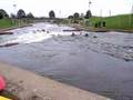 videos de THCC take a swim in HPP
