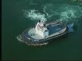 Seabulk Towing, SDM Seabulk Towing, SDM