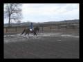 videos de Carmennewdressage.wmv