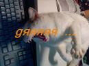 minette minette