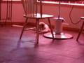 Shih