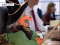 Was am Hexensabbat (B�rse) geschieht?