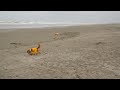 Click here to watch this video のびのび