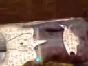 The 3000+ year Oldest Mummy of th Worldwide NOW in Persian/iran !!found NOW on the 19.11.2008!!