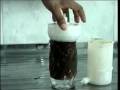 videos de ACQUA VIOLET
