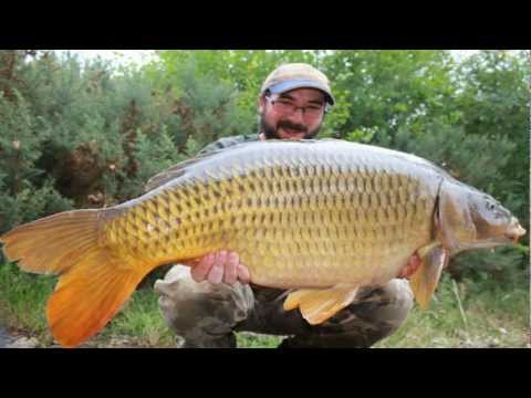 Carp Zone Session - Aug '11, Oct 2011 Carp Zone Session - Aug '11, Oct 2011