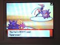 GG.Sorry about the beginning, my camera acted up, and could only start recording at the very beginning of the battle. Don't worry - you didn't miss anything. :PI take no credit for Pokemon or the music that I use.Song:Operation Ground and Pound - Dragonforce