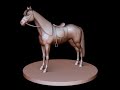 Horse_1.mov Horse_1.mov