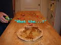happy thanksgiving   stop motion video