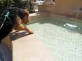 Airedale Terrier video