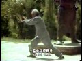 Shaolin Tai Zu Chang Quan