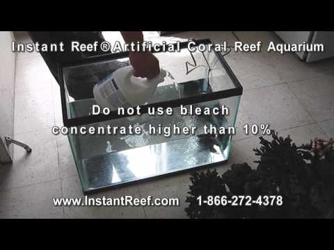 how to control algae in fish tank