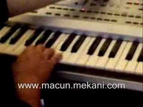 putty roman havasi korg pa 80