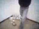videos de MAI DIRE IMIBERG-Un pirla contro un cestino!