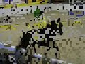 Tinus FT, Tuigen onder het zadel Tinus FT, Tuigen onder het zadel