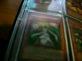 videos de Trade Binder Update #5