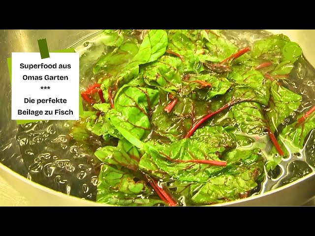 Zarter roter Mangold in Riesling-Rahm: Frisch aus Omas Garten! Zarter roter Mangold in Riesling-Rahm: Frisch aus Omas Garten!