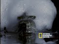 Frog Love Foam