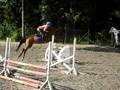 my super jumping horse ! i love you you`re the best damn thing i have ever met ! ♥