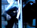 Mo doet weer ff ze dagelijkkse bezigheid Mo doet weer ff ze dagelijkkse bezigheid