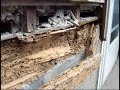 Termite Damage in Homes - Your home may be someone\ Termite Damage in Homes - Your home may be someone\