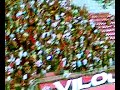 Torcida Imbatíveis do vitória no barradão