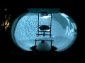 Mouse in VR Maze