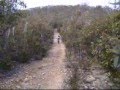 videos de kona stink in bacchus