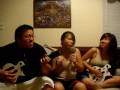 videos de lovebug
